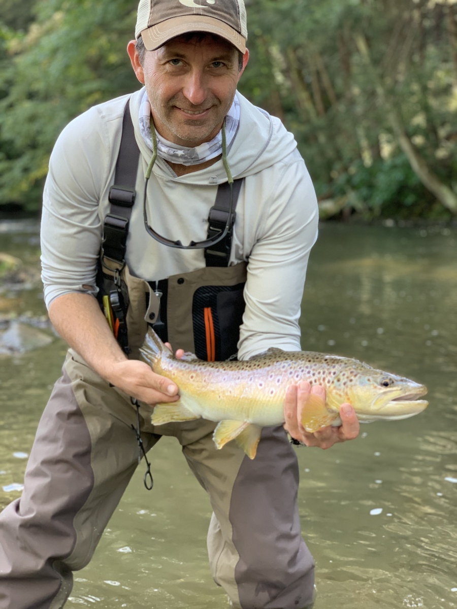 dv Grasshopper Commissioner